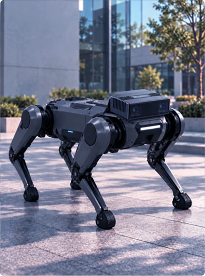 Humanoid Robot